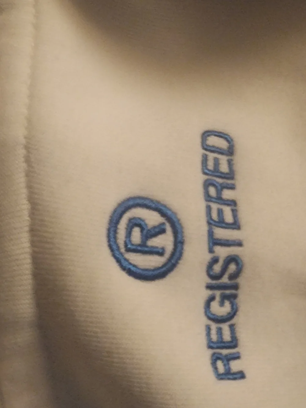Nike White Hoodie with Blue Swoosh and Trademark Embroidery